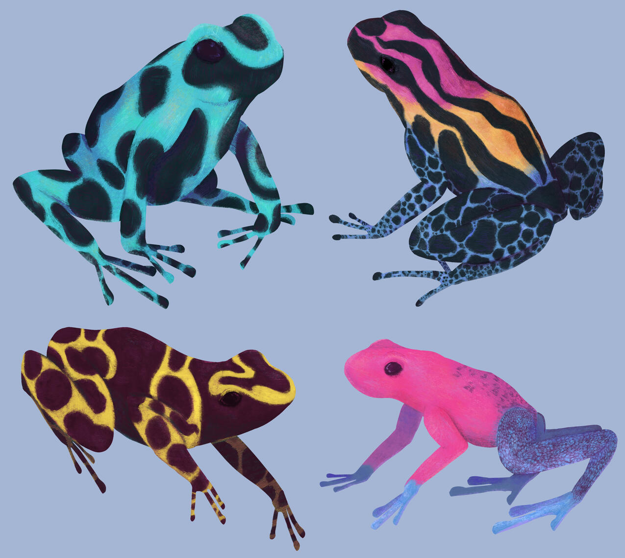 Four Poison Dart Frogs